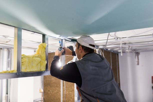 Best Blown-in Insulation  in Waskom, TX