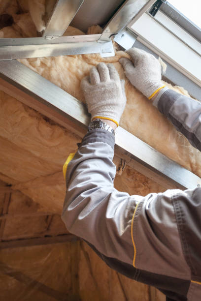 Best Local Insulation Services  in Waskom, TX