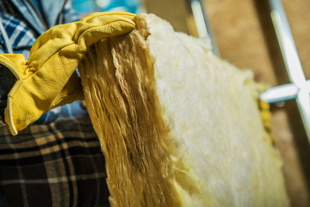Best Insulation Contractor Near Me  in Waskom, TX