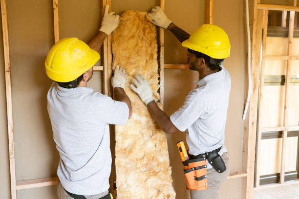 Best Soundproof Insulation Installation  in Waskom, TX