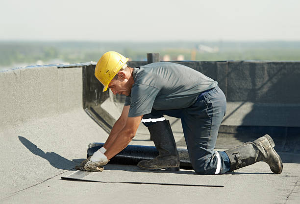 Best Insulation Inspection Services  in Waskom, TX