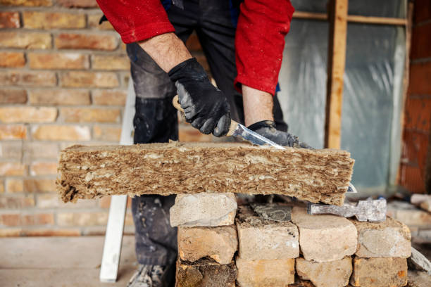 Best Best Insulation Companies  in Waskom, TX