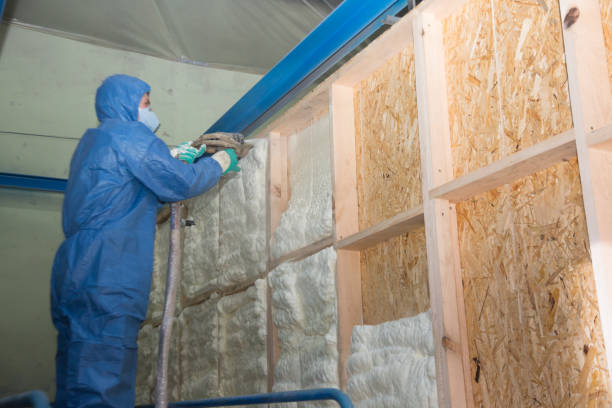 Best Insulation Repair Services  in Waskom, TX